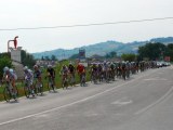 Anteprima